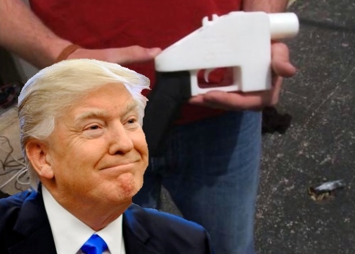 Trump Plan to Allow 3D Printed Guns Hits Roadblock in Federal Court