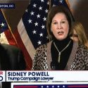 Discredited Trump lawyer makes allegations about voting systems in the election while a sweating Rudy Giuliani stands by. (Photo: ScreenCap)