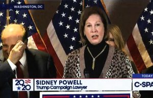 Discredited Trump lawyer makes allegations about voting systems in the election while a sweating Rudy Giuliani stands by. (Photo: ScreenCap)