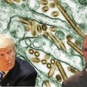 Donald Trump and Robert F. Kennedy Jr could be tested by a new pandemic. (Photo: NYI collage)