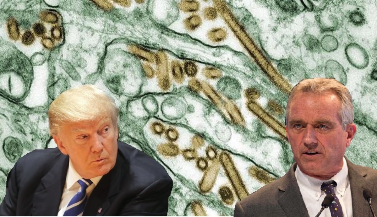 Donald Trump and Robert F. Kennedy Jr could be tested by a new pandemic. (Photo: NYI collage)