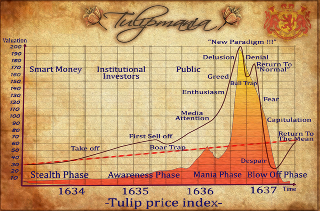 The rise -- and fall -- of 17th century Tulip Mania. (HCM Wealth Advisors)