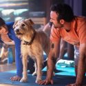 Zooey Deschanel and Charlie Cox star opposite Gus in 'Merv.' (Photo: Wilson Webb/Prime)