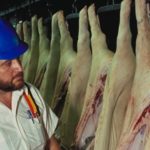 U.S. meat inspector.