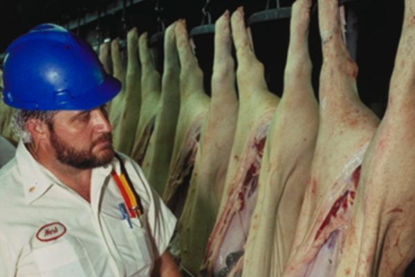 Consumers at Risk After Trump Orders Beef Imports Amid Massive Inspection Cuts; Ranchers Devastated